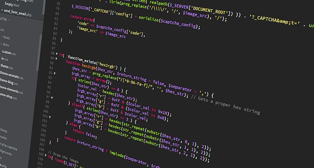 Backend / Frontend 개발