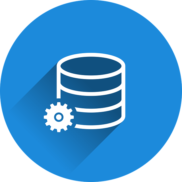 SQL 개발 및 튜닝